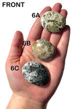 Load image into Gallery viewer, Orbicular Ocean Jasper Palmstones, Choose Your Own