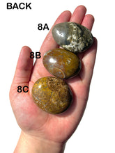 Load image into Gallery viewer, Orbicular Ocean Jasper Palmstones, Choose Your Own