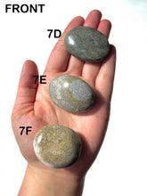 Load image into Gallery viewer, Orbicular Ocean Jasper Palmstones, Choose Your Own