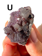 Load image into Gallery viewer, QR Code Fluorites, Choose Your Own