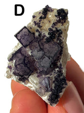 Load image into Gallery viewer, QR Code Fluorites, Choose Your Own