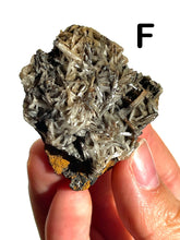 Load image into Gallery viewer, Barite Clusters, Choose Your Own