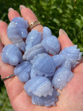 Load image into Gallery viewer, Blue Lace Agate Turtles