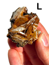 Load image into Gallery viewer, Barite Clusters, Choose Your Own