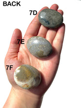 Load image into Gallery viewer, Orbicular Ocean Jasper Palmstones, Choose Your Own