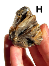 Load image into Gallery viewer, Barite Clusters, Choose Your Own