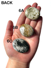 Load image into Gallery viewer, Orbicular Ocean Jasper Palmstones, Choose Your Own