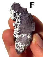 Load image into Gallery viewer, QR Code Fluorites, Choose Your Own