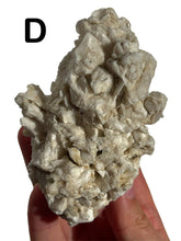Load image into Gallery viewer, Gypsum After Galubarite, Choose Your Own