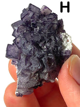 Load image into Gallery viewer, QR Code Fluorites, Choose Your Own