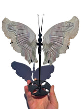 Load image into Gallery viewer, Imperfect Large Sea Jasper Standing Butterfly NEW!