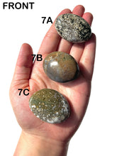 Load image into Gallery viewer, Orbicular Ocean Jasper Palmstones, Choose Your Own