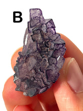 Load image into Gallery viewer, QR Code Fluorites, Choose Your Own