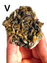 Load image into Gallery viewer, Barite Clusters, Choose Your Own