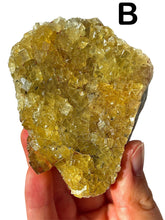 Load image into Gallery viewer, Gold Moscavito Cubic Fluorite Clusters, Choose Your Own