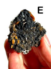 Load image into Gallery viewer, Barite Clusters, Choose Your Own