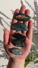 Load image into Gallery viewer, ⊹ Leaf Shaped Labradorite Cabachons, Full Flash ⊹ NEW!
