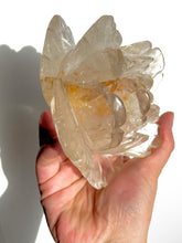 Load image into Gallery viewer, Golden Healer Peony NEW!
