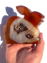 Load image into Gallery viewer, Carnelian Druzy Bunny NEW!
