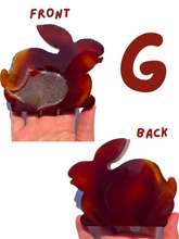 Load image into Gallery viewer, Large Carnelian Druzy Bunnies, Choose Your Own NEW!

