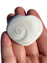 Load image into Gallery viewer, Shiva Shell Hearts NEW!
