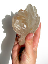 Load image into Gallery viewer, Golden Healer Peony NEW!
