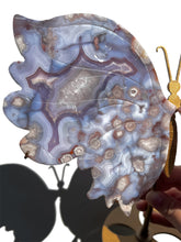 Load image into Gallery viewer, XXL Black Flower Agate Butterfly NEW!
