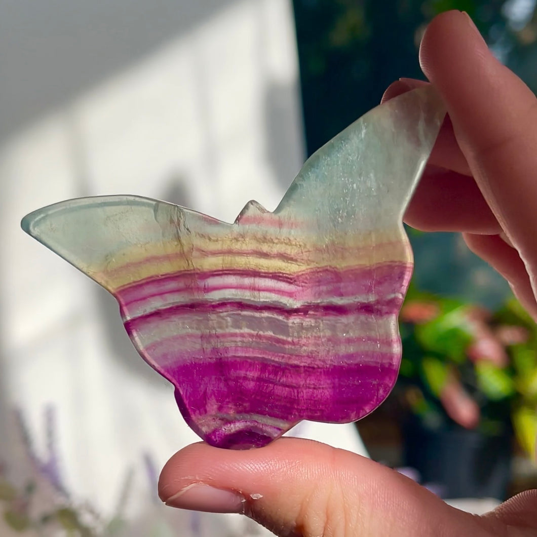 ⊹ Candy Fluorite Butterfly Carving ⊹