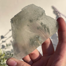 Load image into Gallery viewer, ⊹ Gypsum Selenite ⊹ Found Personally by the Shop Owner ⊹ Choose Your Own ⊹ NEW!
