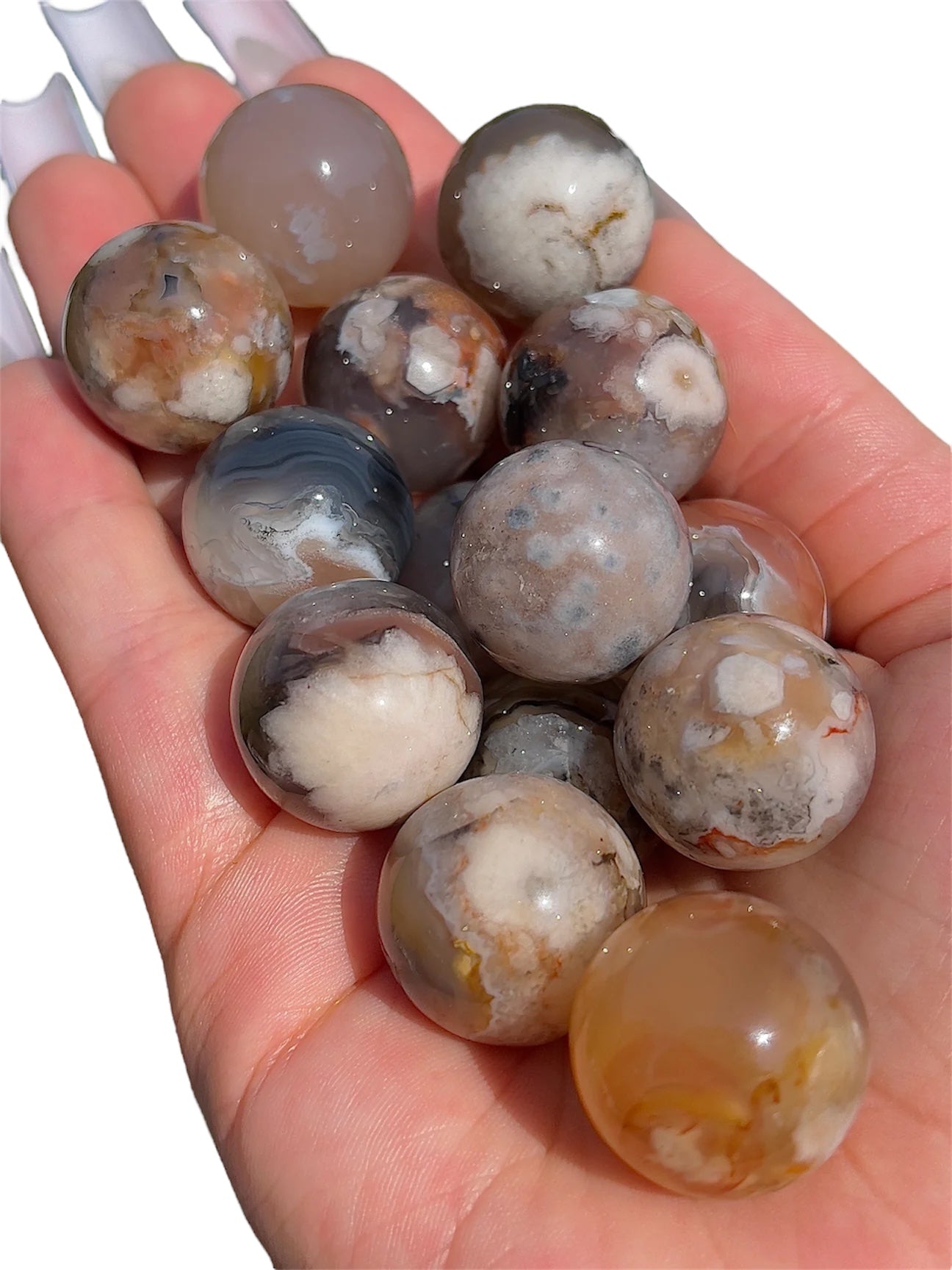 Black Flower Agate Mini Spheres