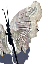 Load image into Gallery viewer, Imperfect Large Sea Jasper Standing Butterfly NEW!
