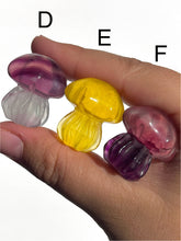 Load image into Gallery viewer, Jellyfish Fluorite Carvings, Choose Your Own

