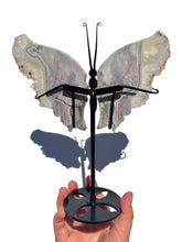 Load image into Gallery viewer, Imperfect Large Sea Jasper Standing Butterfly NEW!

