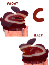 Load image into Gallery viewer, Large Carnelian Druzy Bunnies, Choose Your Own NEW!
