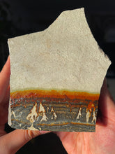 Load image into Gallery viewer, Large Raw Dendritic Jasper
