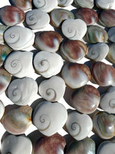 Load image into Gallery viewer, Shiva Shell Hearts NEW!
