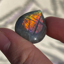 Load image into Gallery viewer, ⊹ Tear Drop Labradorite Carvings, Full Flash ⊹ NEW!
