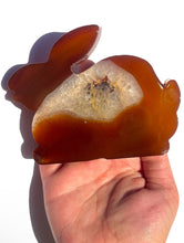 Load image into Gallery viewer, Carnelian Druzy Bunny NEW!
