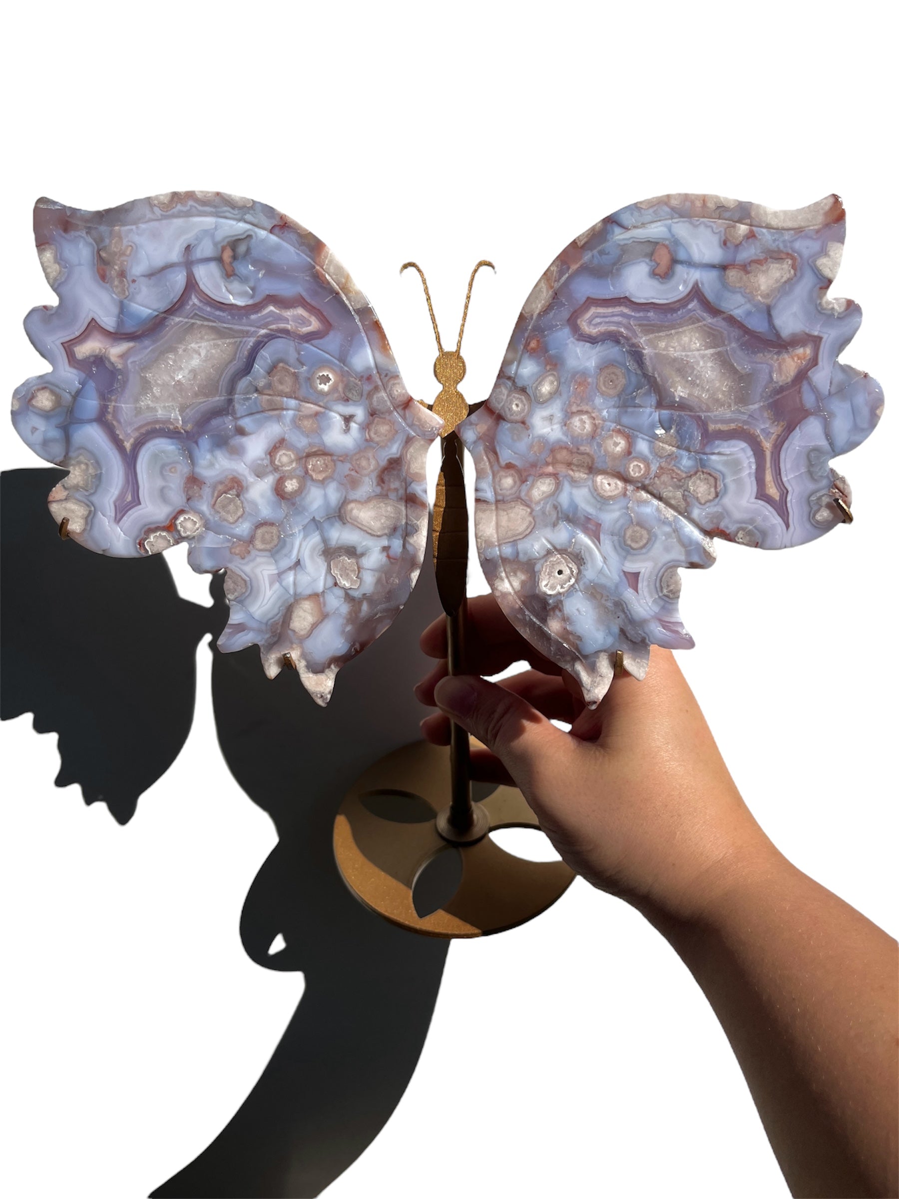 XXL Black Flower Agate Butterfly NEW!