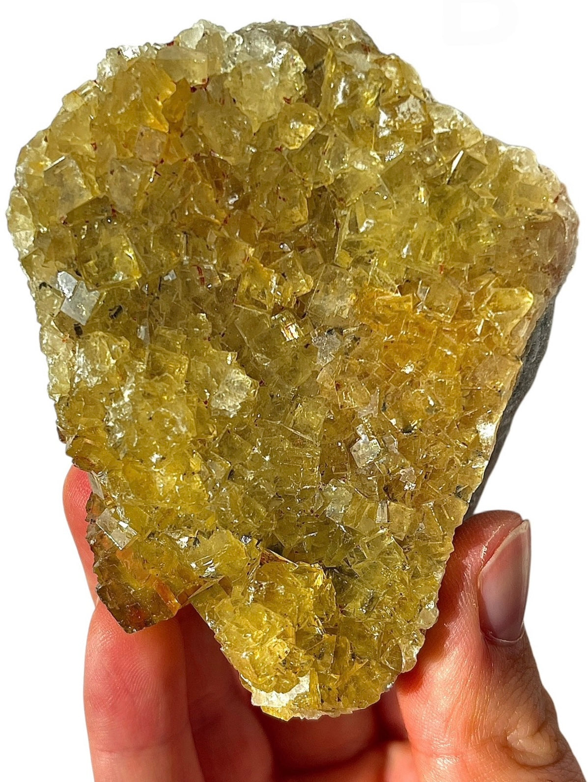 Gold Moscavito Cubic Fluorite Clusters, Choose Your Own