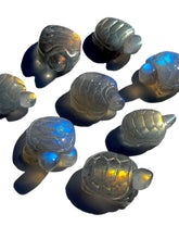 Load image into Gallery viewer, Labradorite Turtles, Hand Carved, Grade A NEW!
