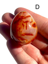 Load image into Gallery viewer, Carnelian Eggs, Choose Your Own NEW!
