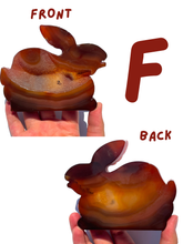 Load image into Gallery viewer, Large Carnelian Druzy Bunnies, Choose Your Own NEW!
