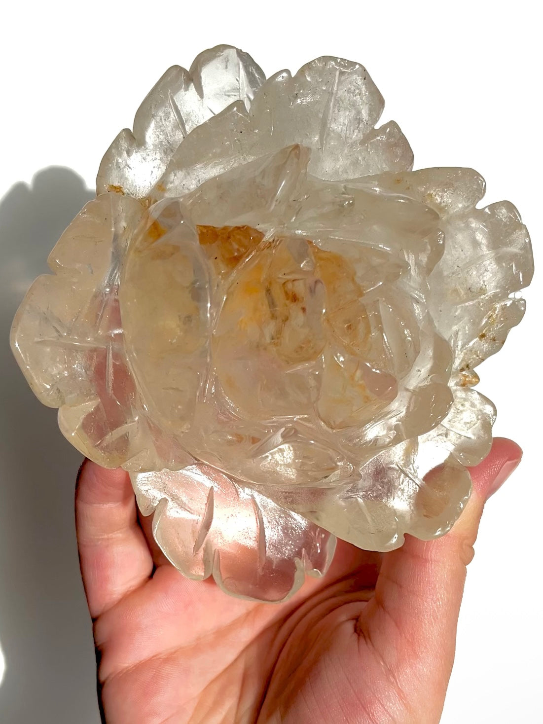 Golden Healer Peony NEW!