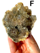 Load image into Gallery viewer, Gold Moscavito Cubic Fluorite Clusters, Choose Your Own
