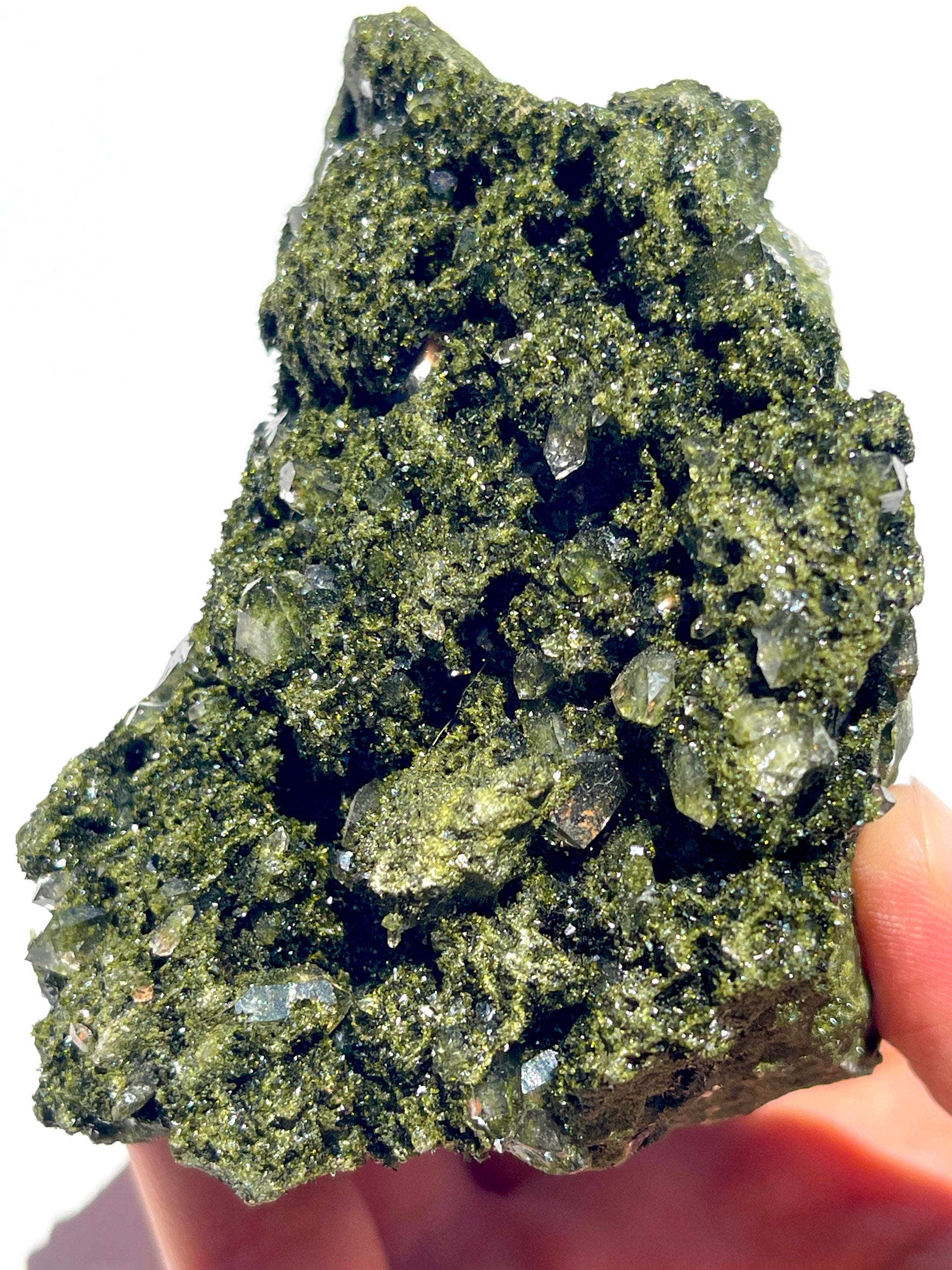 Fairy Forest Epidote Cluster NEW!