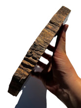 Load image into Gallery viewer, XL Petrified Wood Slab NEW!
