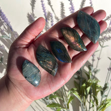 Load image into Gallery viewer, ⊹ Leaf Shaped Labradorite Cabachons, Full Flash ⊹ NEW!
