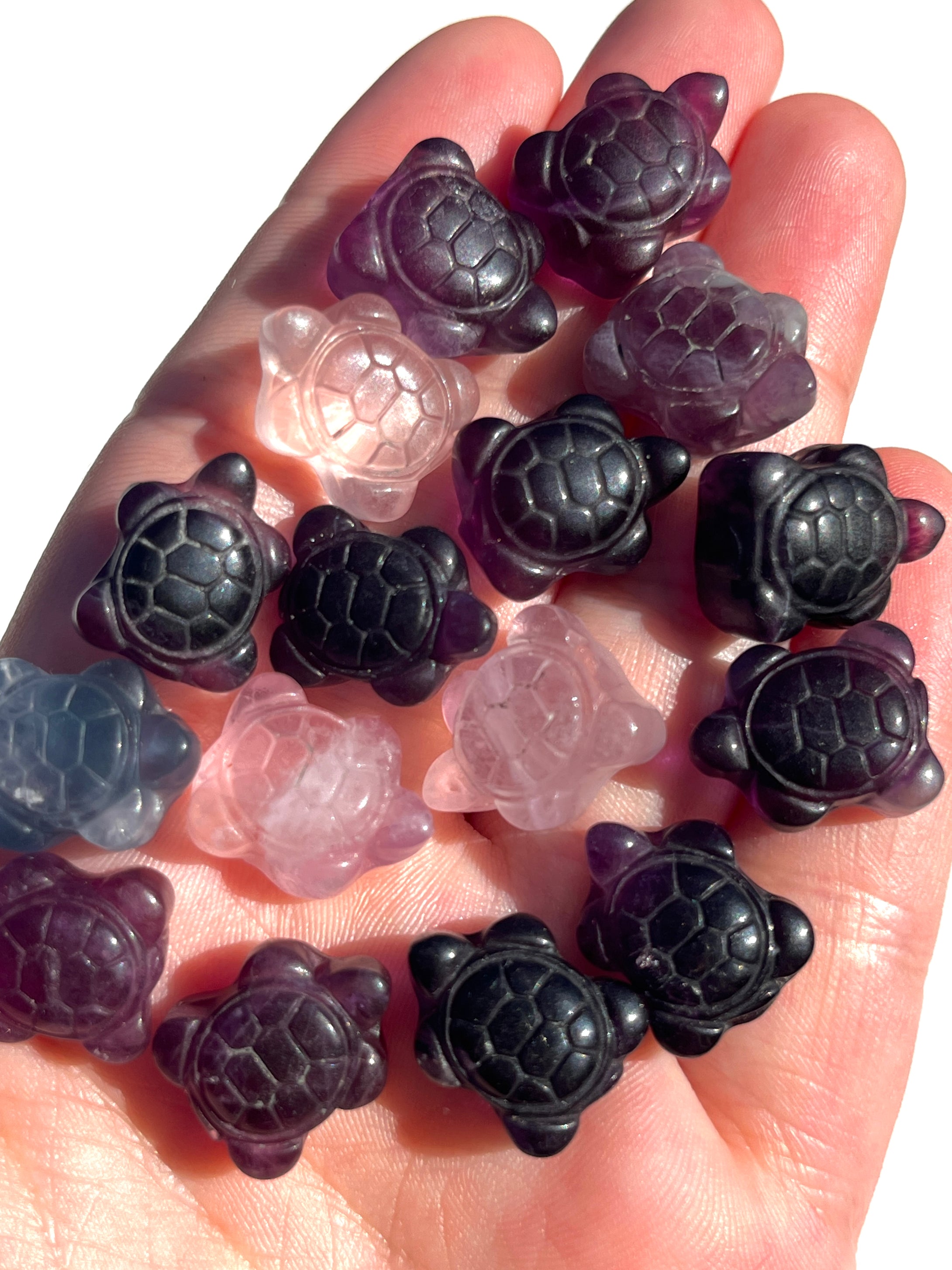 Mini Fluorite Turtles NEW!