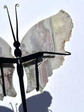 Load image into Gallery viewer, Imperfect Large Sea Jasper Standing Butterfly NEW!
